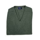 Lambswool-Pullover mit V-Neck in Farbe "Rosemary"
