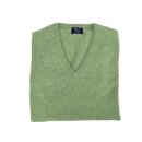 Lambswool-Pullover mit V-Neck in Farbe "Foliage"